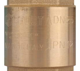 Клапан обратный пружинный муфтовый с пластиковым седлом 1 STOUT SVC-0012-000025 в #WF_CITY_PRED# 3