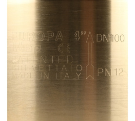 Клапан обратный пружинный муфтовый с металлическим седлом EUROPA 100 4 Itap в #WF_CITY_PRED# 7