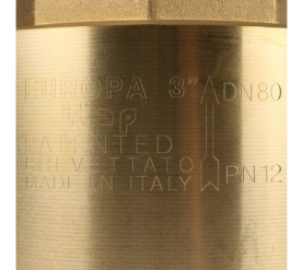 Клапан обратный пружинный муфтовый с металлическим седлом EUROPA 100 3 Itap в #WF_CITY_PRED# 7