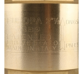 Клапан обратный пружинный муфтовый с металлическим седлом EUROPA 100 2 1/2 Itap в #WF_CITY_PRED# 7